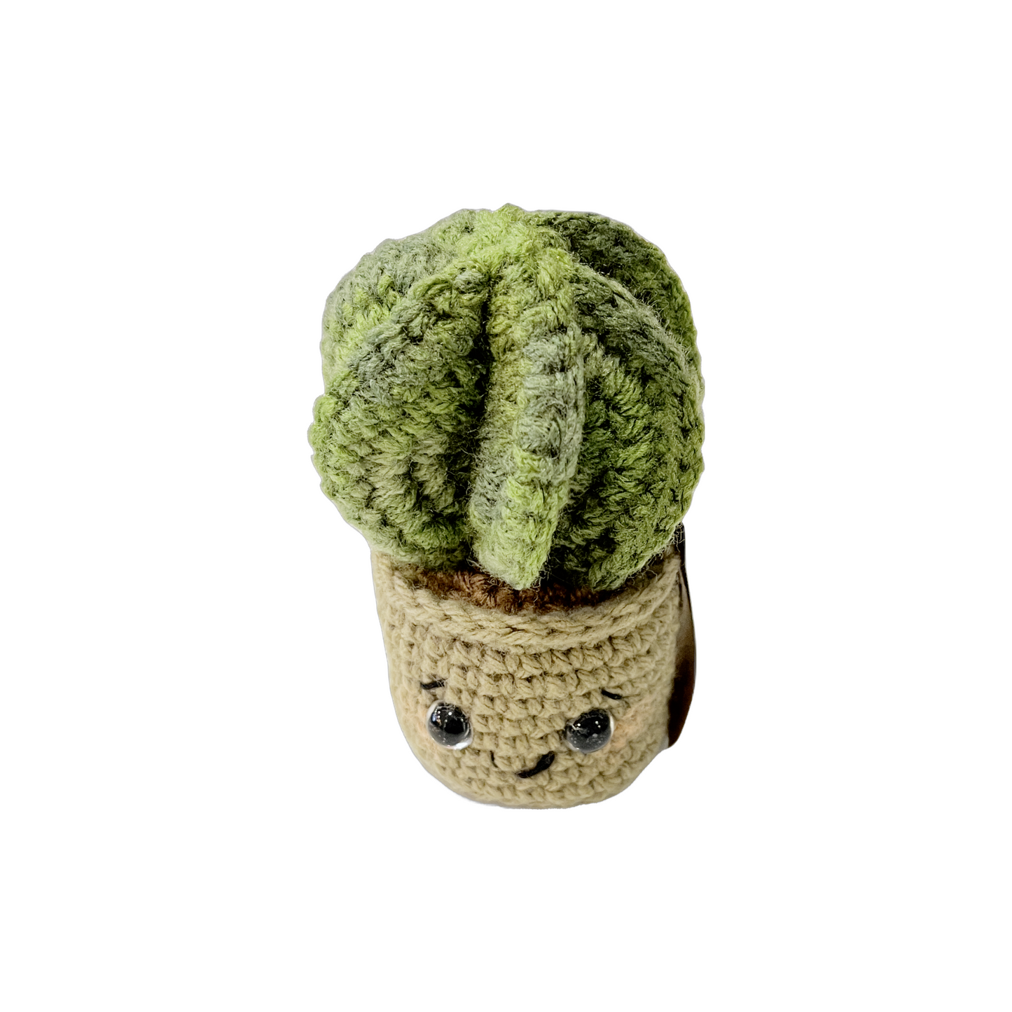 Sweet Sally's Creations Cactus