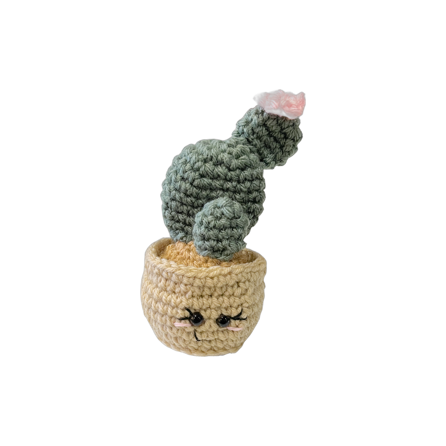 Sweet Sally's Creations Cactus