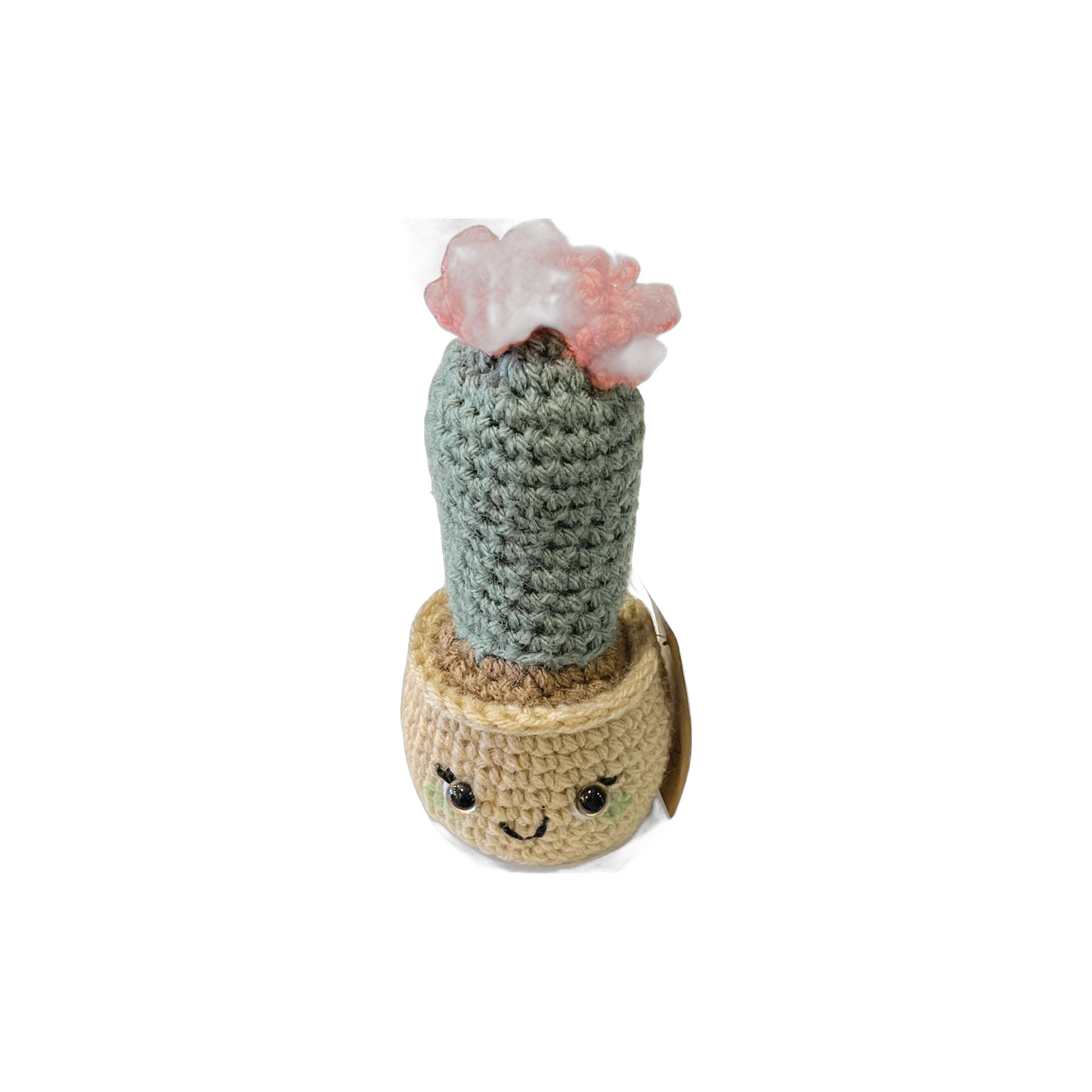 Sweet Sally's Creations Cactus