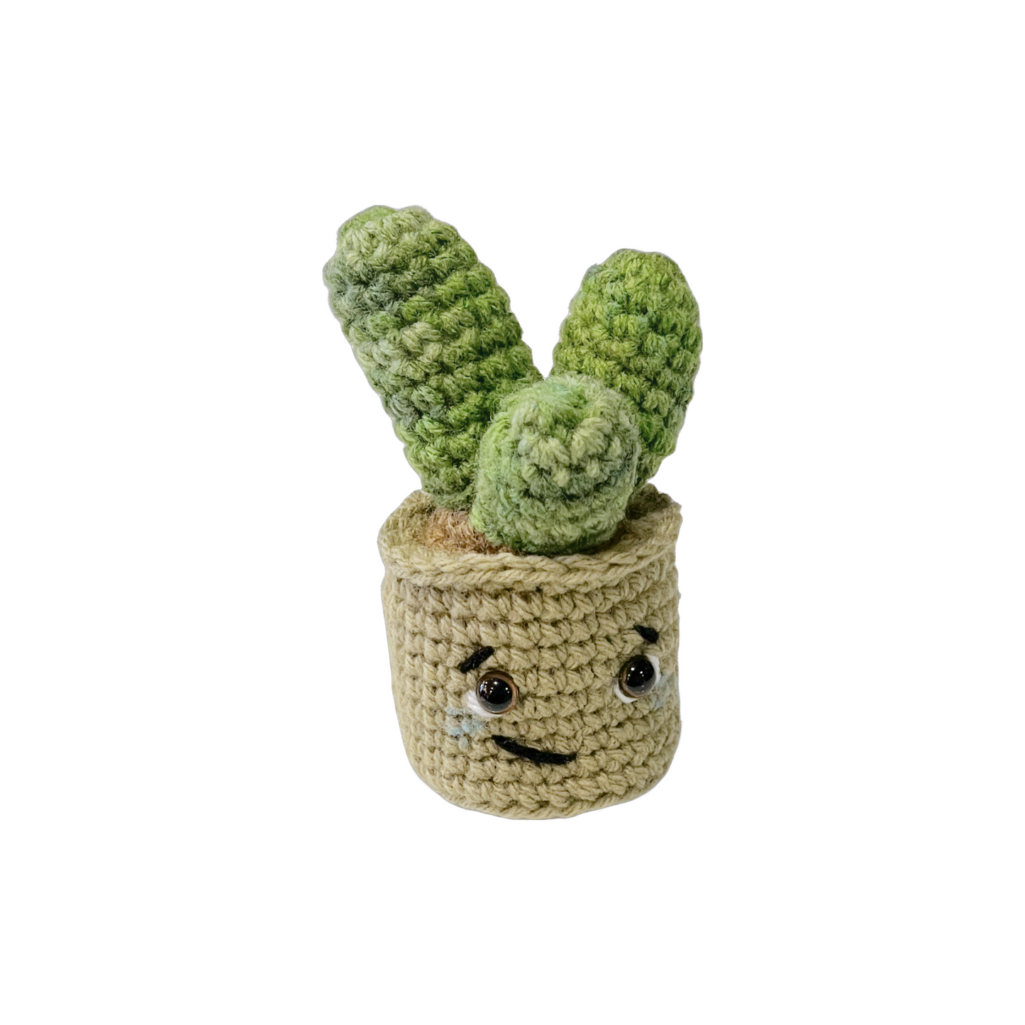 Sweet Sally's Creations Cactus
