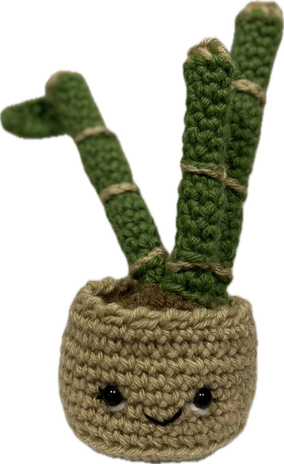 Sweet Sally's Creations Cactus