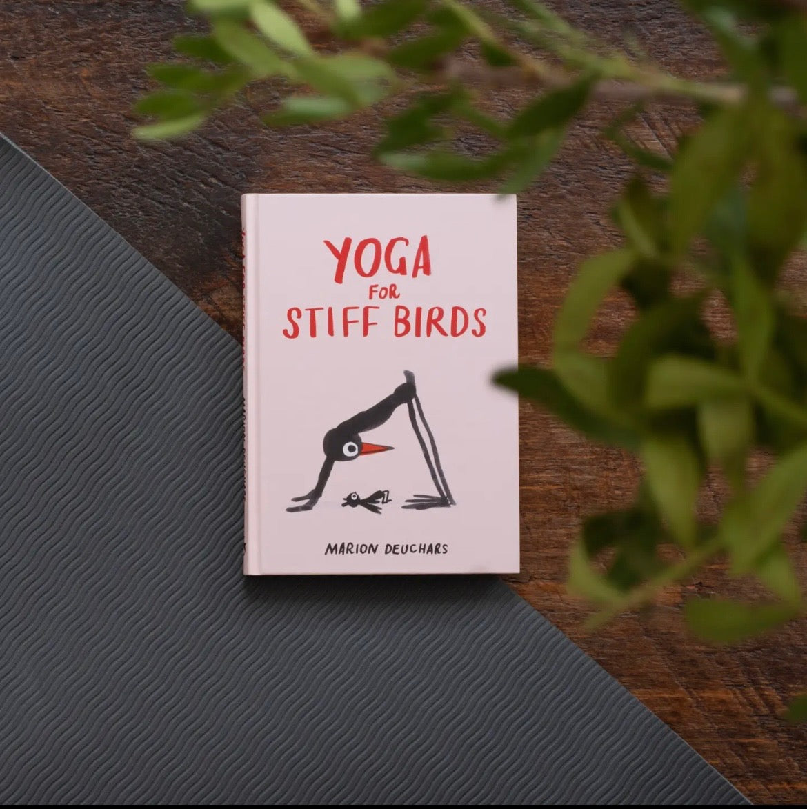 Abrams Yoga For Stiff Birds