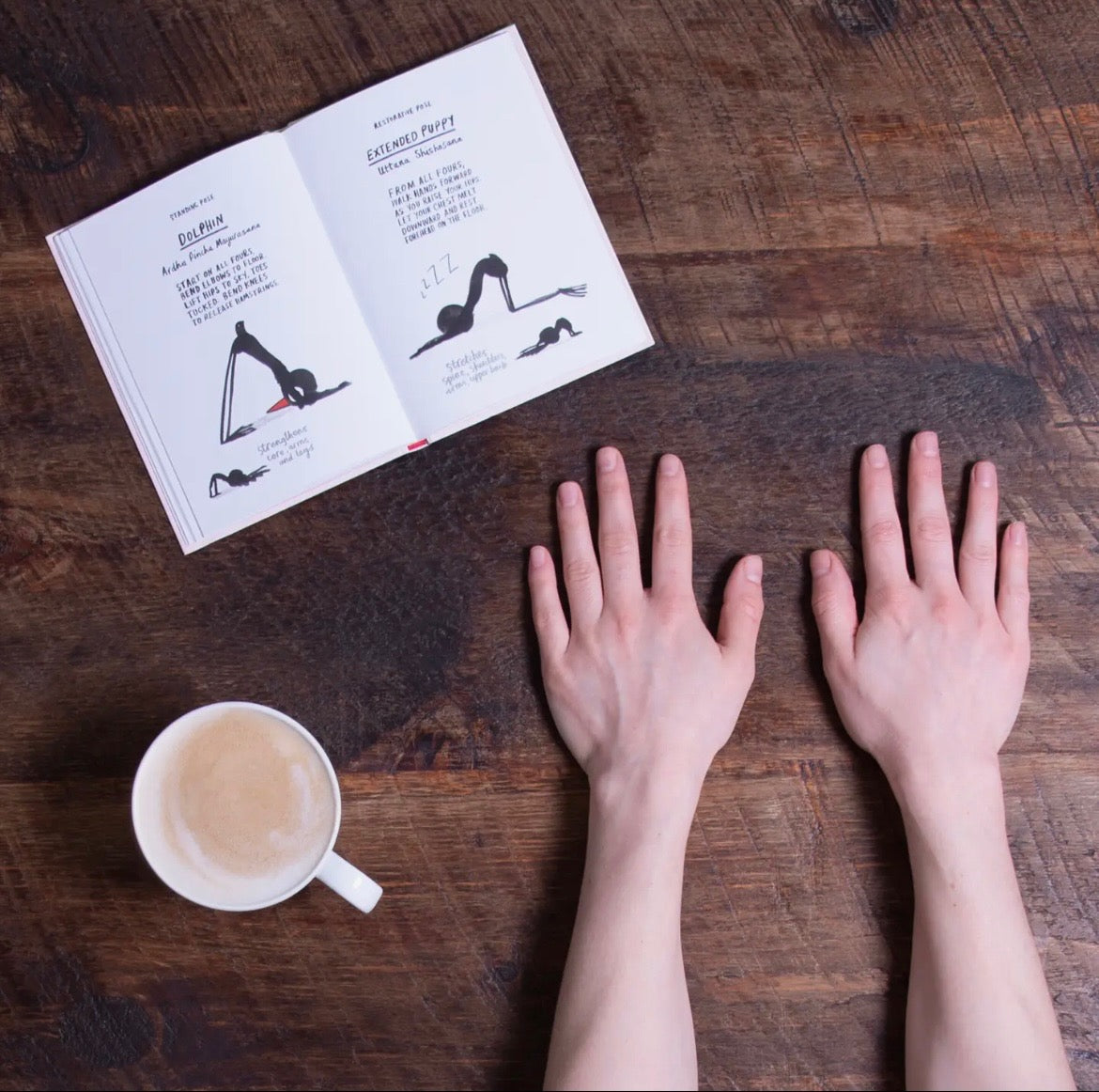 Abrams Yoga For Stiff Birds